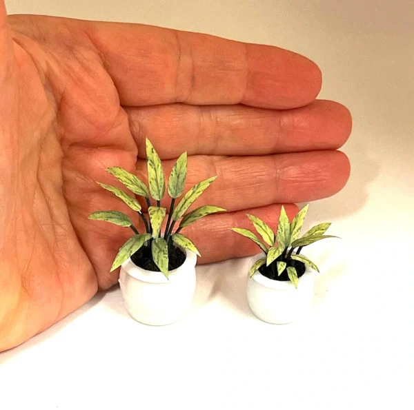 Miniature plant